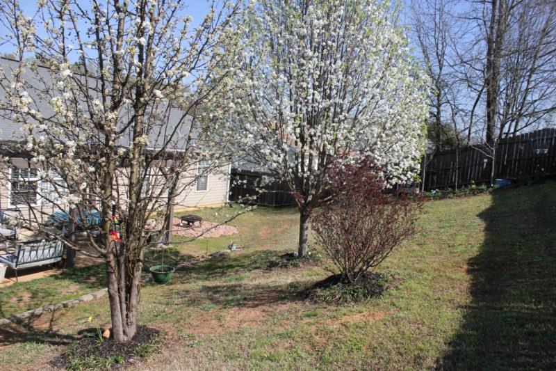 219 Rio Way Anderson, SC 29625 - Photo 19 of 30 Gallery Image 19