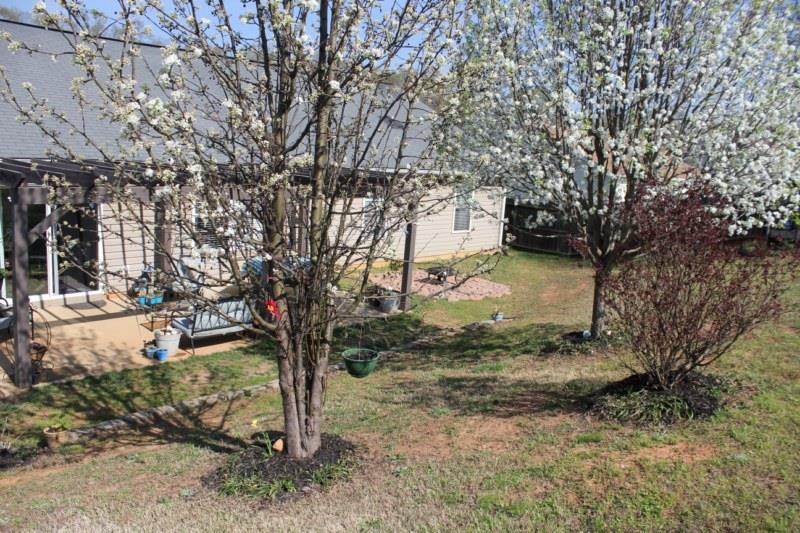 219 Rio Way Anderson, SC 29625 - Photo 20 of 30 Gallery Image 20