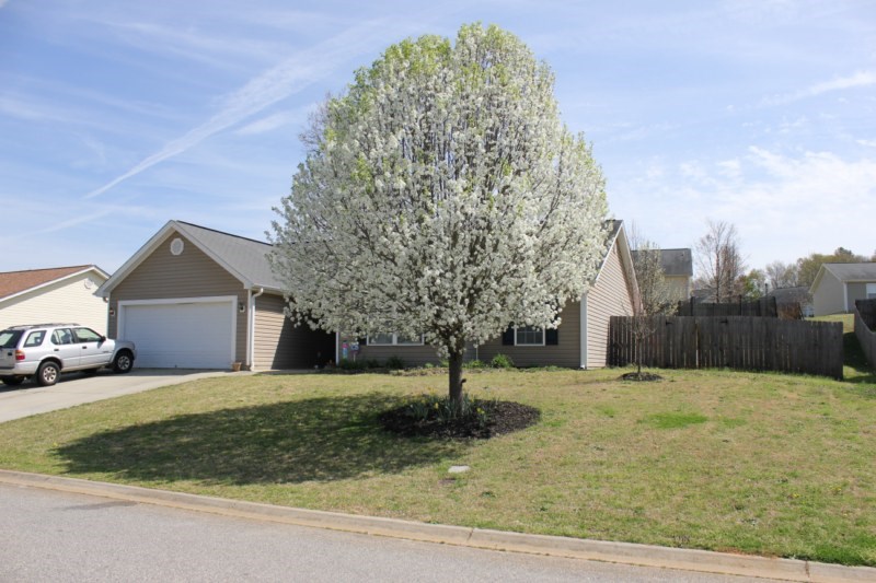 219 Rio Way Anderson, SC 29625 - Photo 24 of 30 Gallery Image 24