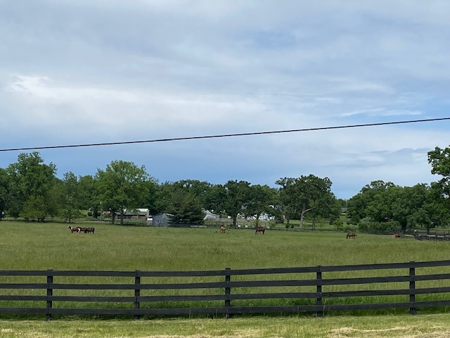 Lot 65-66 Main Street Spring Grove, IL 60081 - Photo 5 of 5 a view of a yard