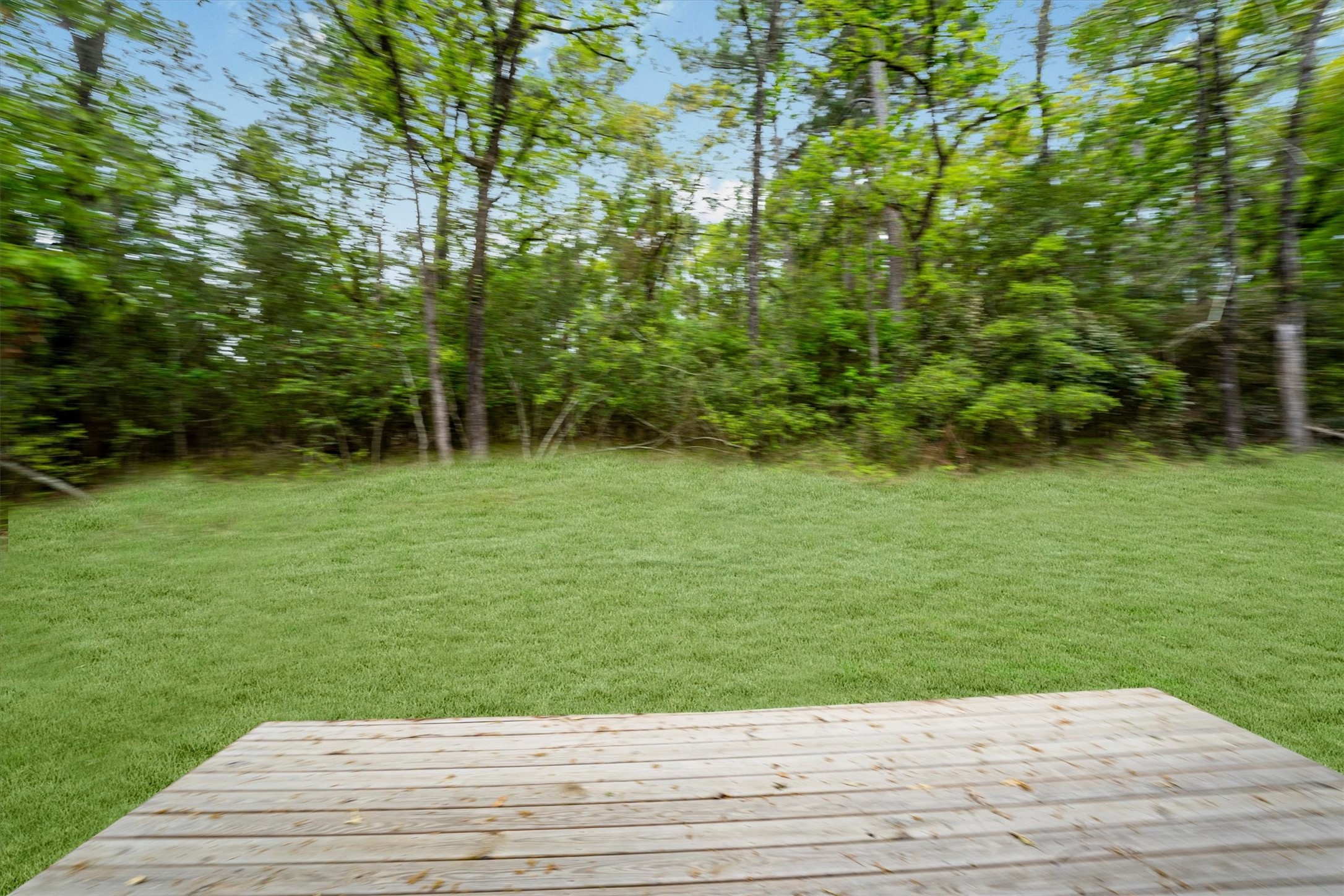 24411 Oakaland Hls Road Point Blank, TX 77364 - Photo 35 of 40 a backyard of a house with lots of green space