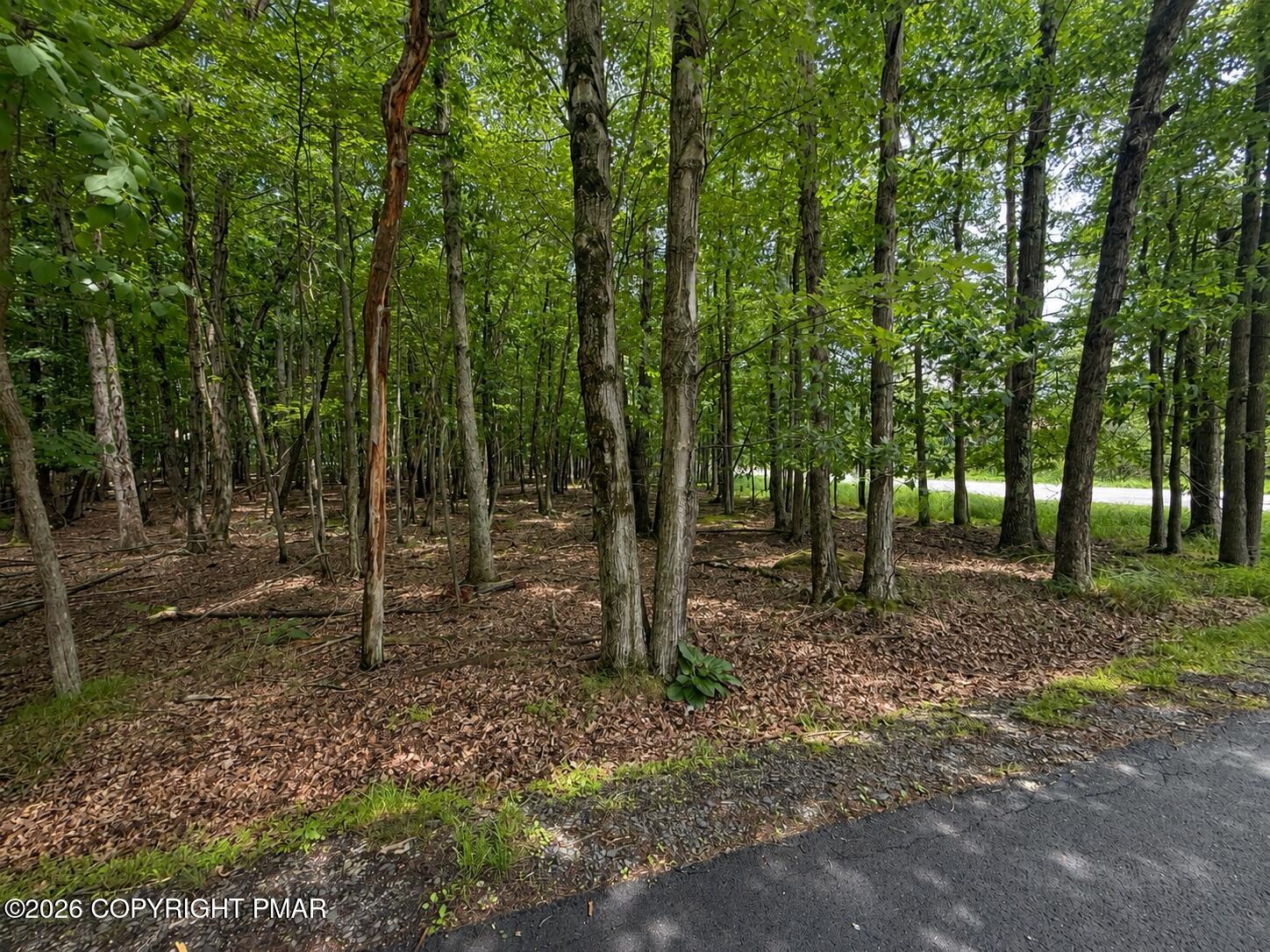 Tower Road Albrightsville, PA 18210 - Photo 1 of 2 a view of a forest with trees