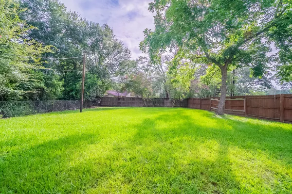a view of a yard with a slide
