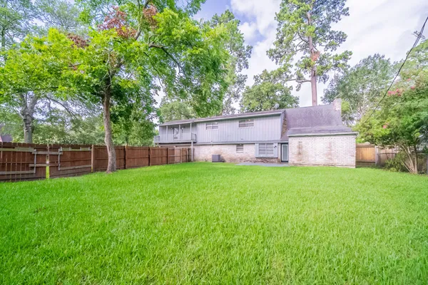 a view of a backyard with a garden and large trees