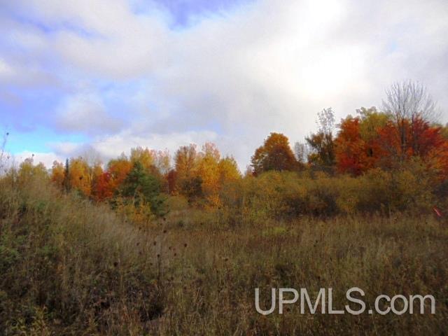 Tbd L P Walsh Road Ontonagon, MI 49953 - Photo 11 of 13