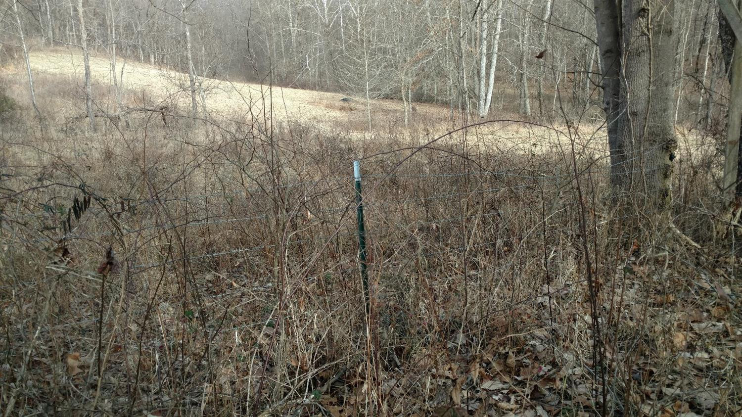 11872 Perryville Road Perryville, KY 40468 - Photo 28 of 33 Photo 29