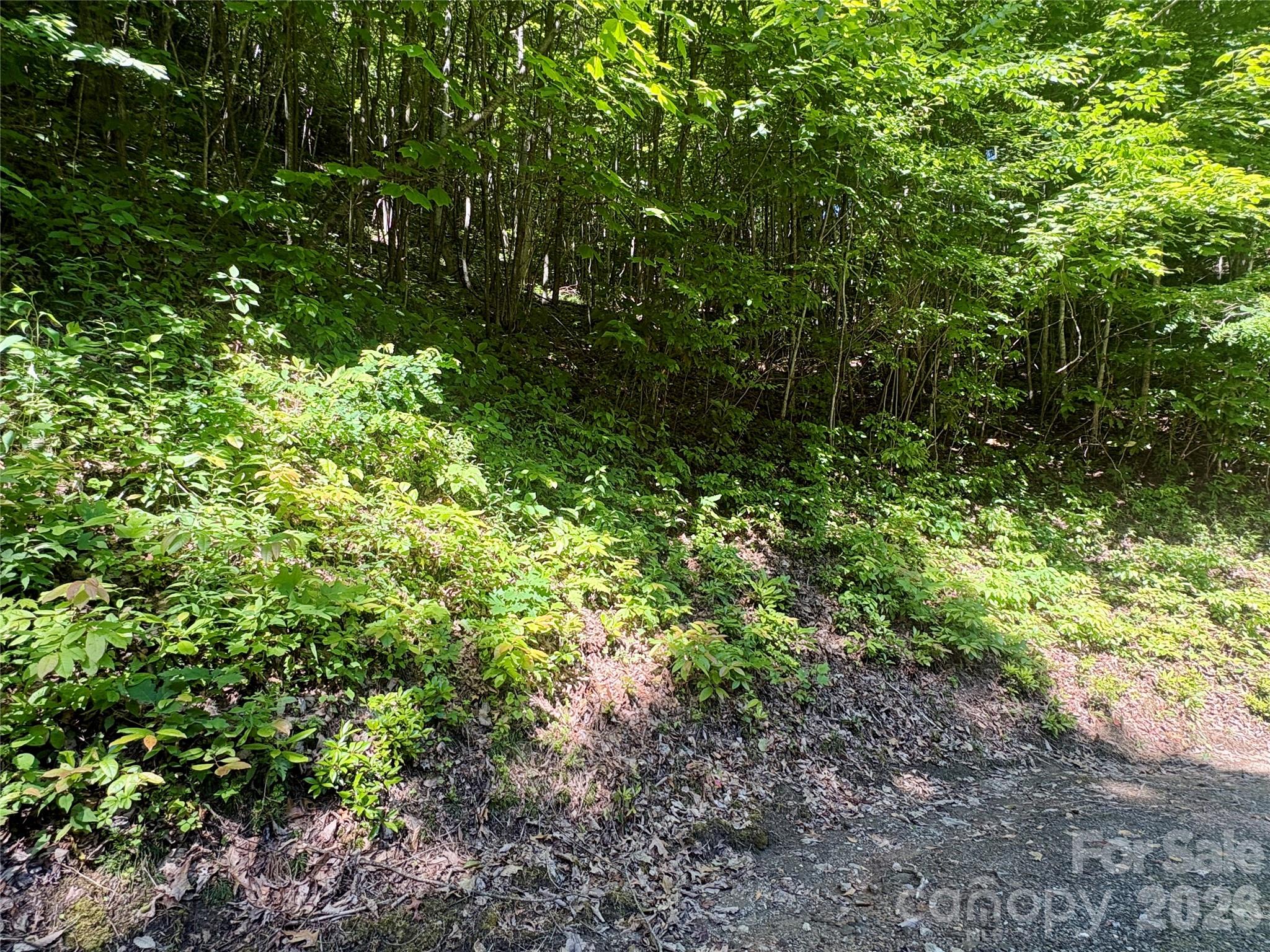 0 Middle Ridge, Unit 38 Whittier, NC 28789 - Photo 6 of 6