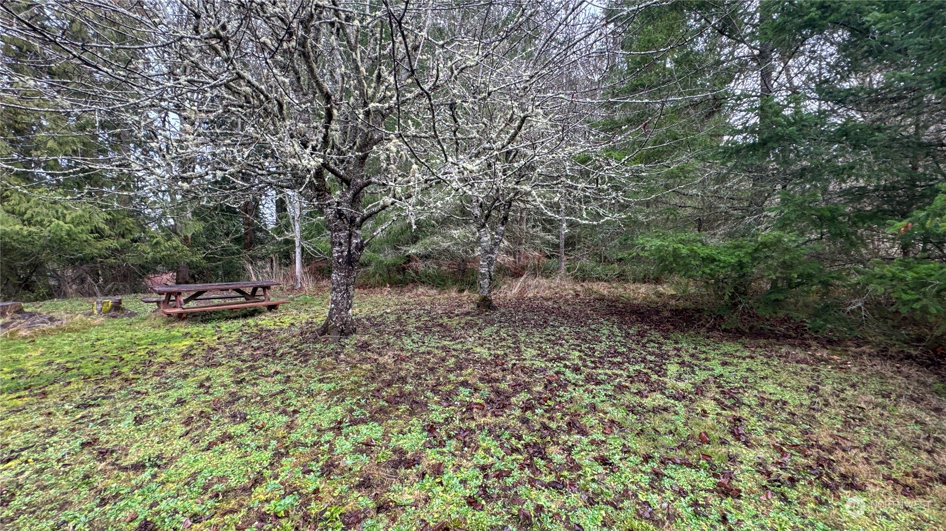 471 Brown Road Port Angeles, WA 98362 - Photo 38 of 40 Gallery Image 38