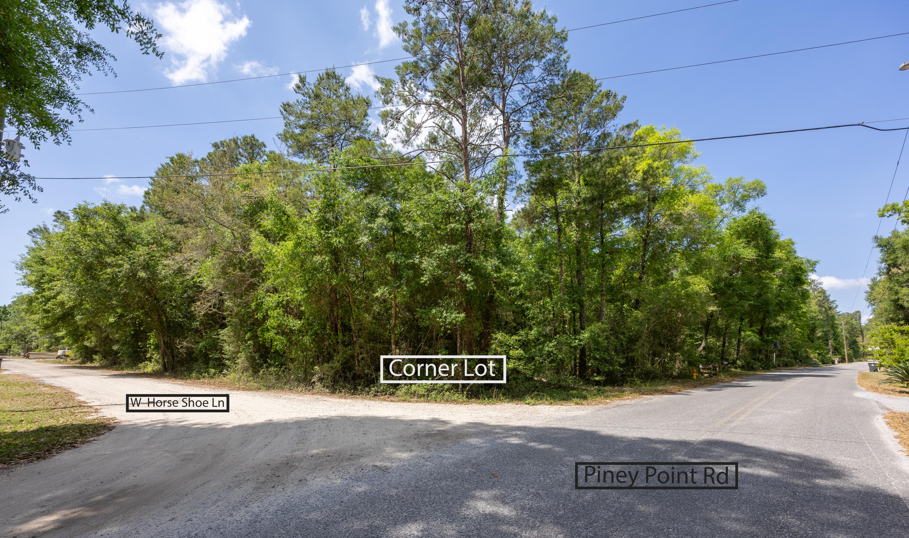 Lot X Piney Point Road Freeport, FL 32439 - Photo 1 of 9 a view of street with grass and trees