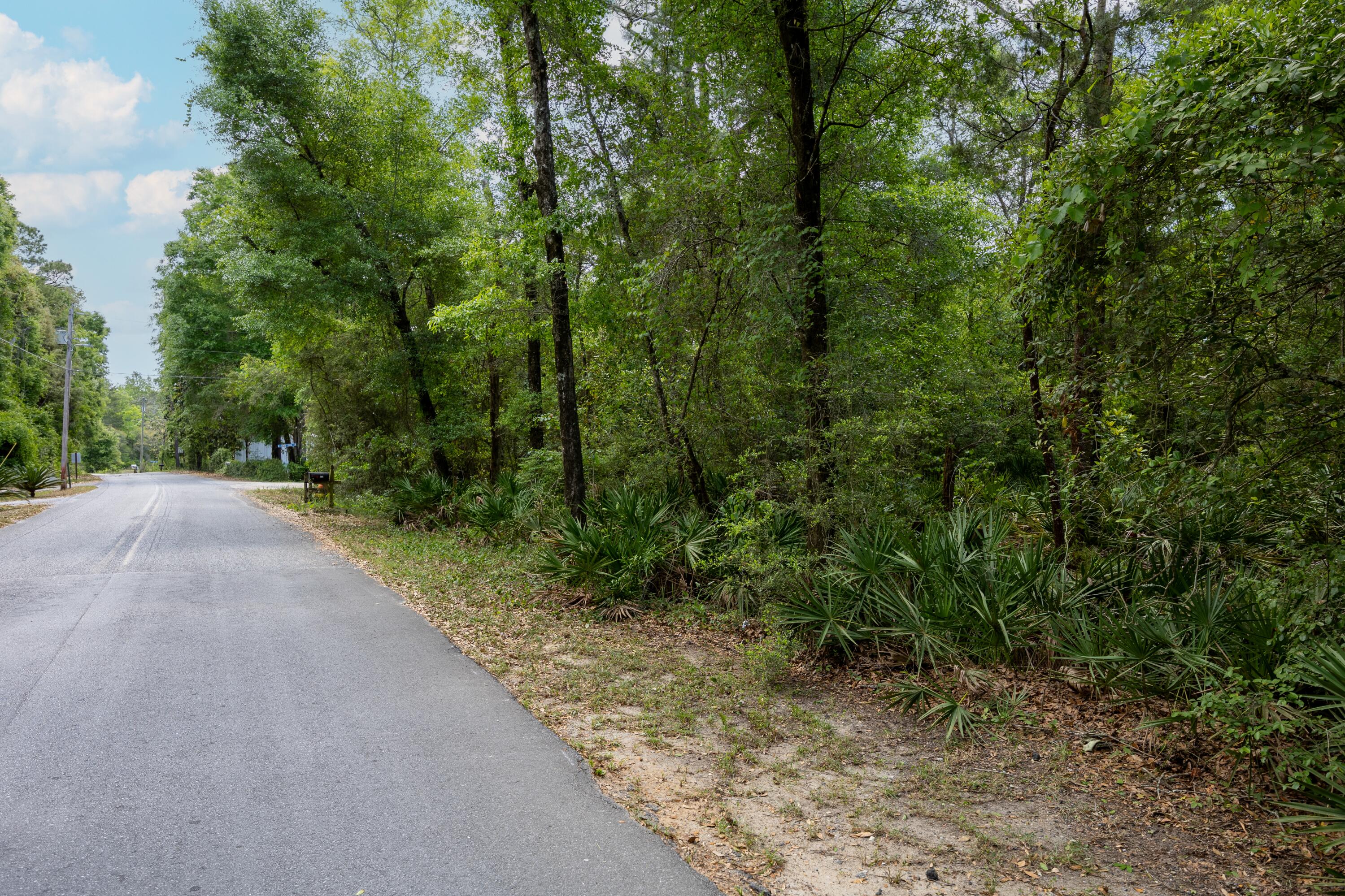 Lot X Piney Point Road Freeport, FL 32439 - Photo 3 of 9 a view of a forest with trees
