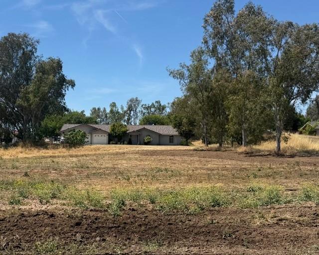 16638 Mark Road Madera, CA 93636 - Photo 22 of 22 a big yard with lots of green space
