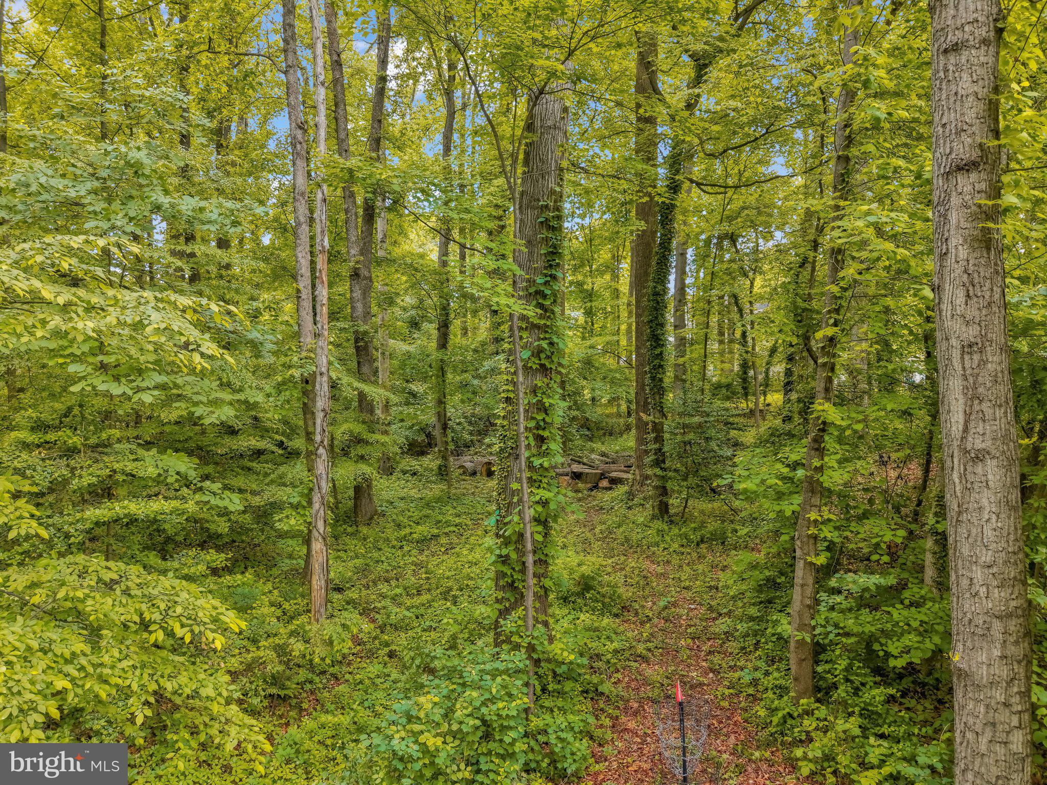 1224 Wild Hawthorn Way Reston, VA 20194 - Photo 53 of 71 Surrounded by Trees!