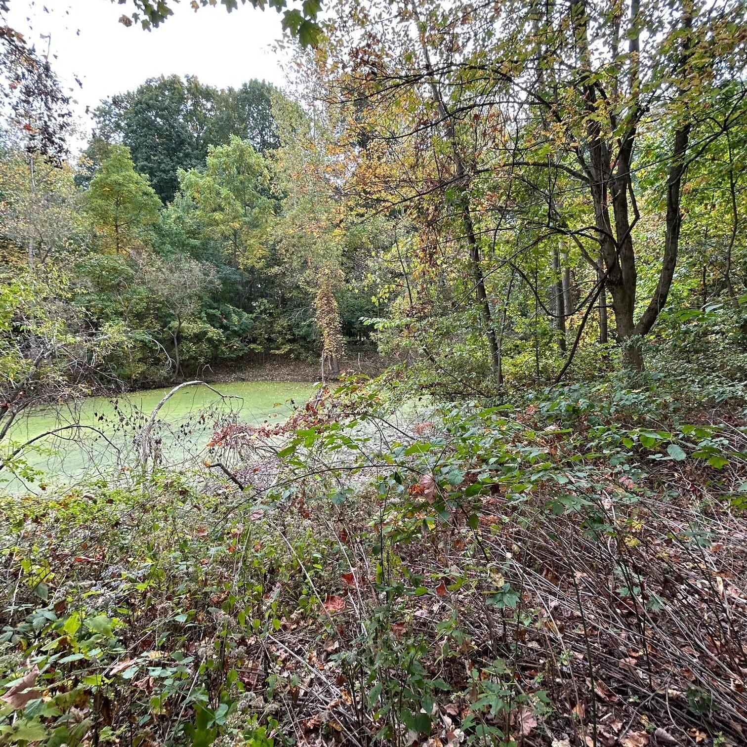 0 Ewart Road Mount Vernon, OH 43050 - Photo 6 of 15 photo5