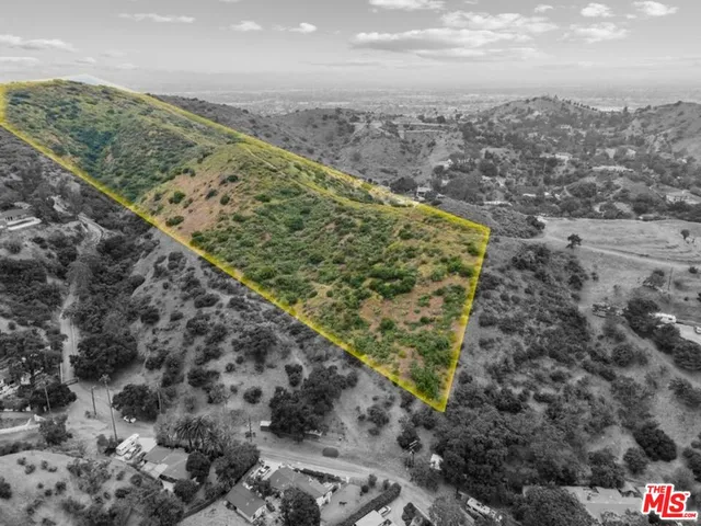 a view of a forest with a lake
