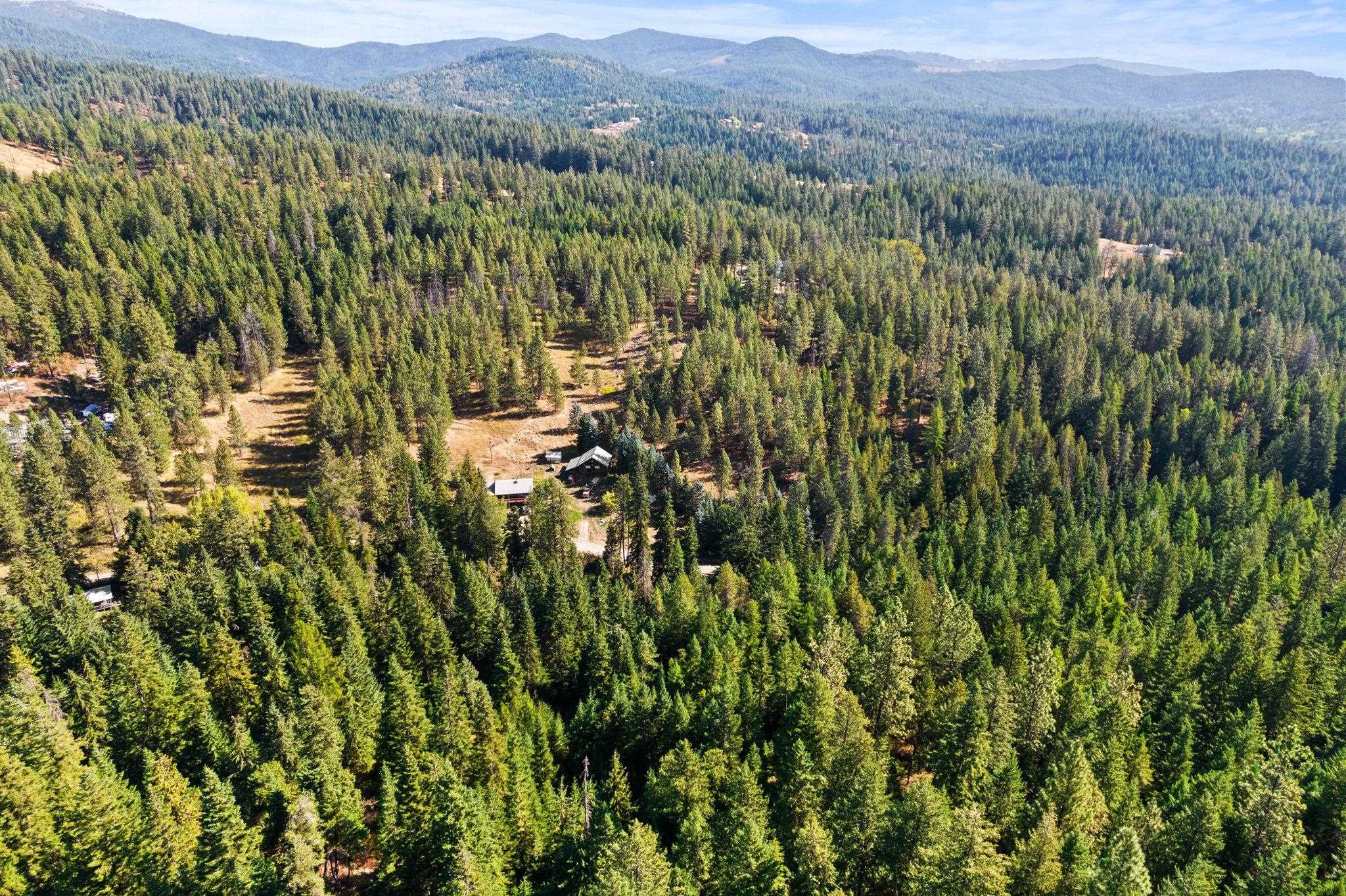 21914 North Travis Road Mead, WA 99021 - Photo 24 of 30