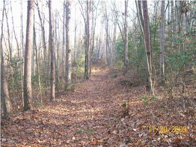 0 Thomas Cemetery Road Pikeville, TN 37367 - Photo 1 of 15 Primary Photo