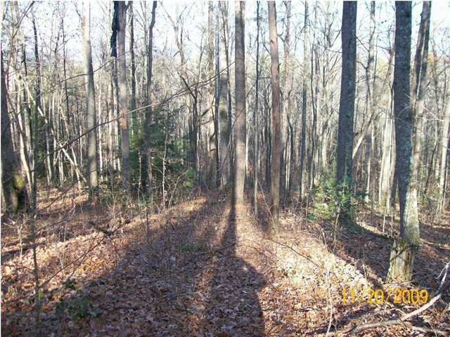 0 Thomas Cemetery Road Pikeville, TN 37367 - Photo 11 of 15 Additional Photo