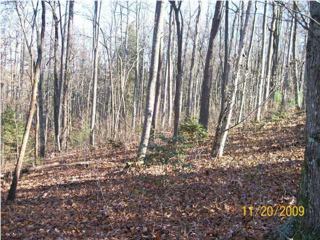 0 Thomas Cemetery Road Pikeville, TN 37367 - Photo 13 of 15 Additional Photo