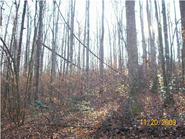 0 Thomas Cemetery Road Pikeville, TN 37367 - Photo 14 of 15 Additional Photo