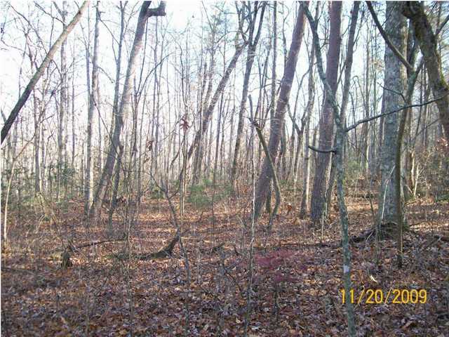 0 Thomas Cemetery Road Pikeville, TN 37367 - Photo 15 of 15 Additional Photo
