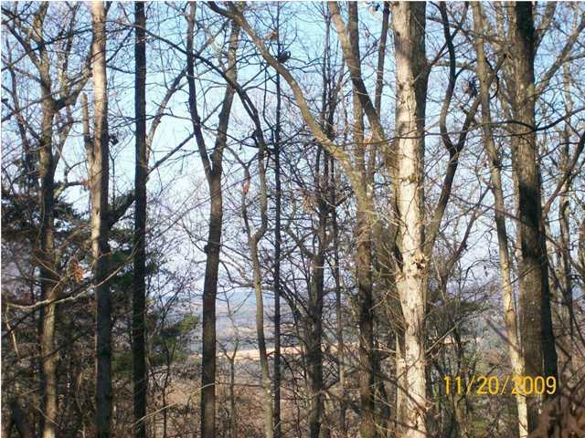 0 Thomas Cemetery Road Pikeville, TN 37367 - Photo 3 of 15 Additional Photo