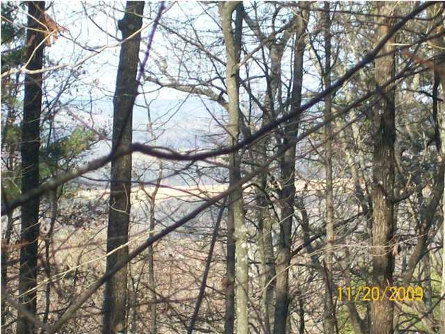 0 Thomas Cemetery Road Pikeville, TN 37367 - Photo 4 of 15 Additional Photo