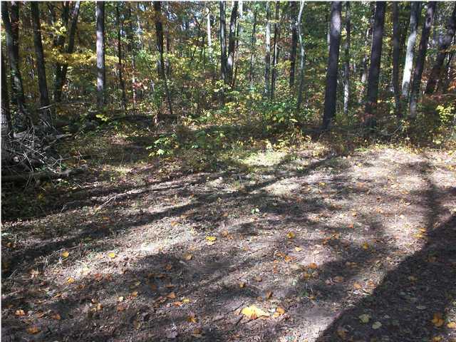 0 Thomas Cemetery Road Pikeville, TN 37367 - Photo 5 of 15 Additional Photo