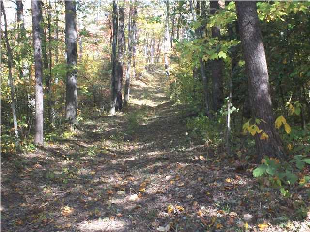 0 Thomas Cemetery Road Pikeville, TN 37367 - Photo 6 of 15 Additional Photo
