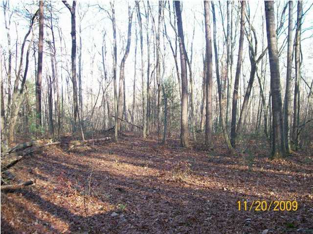0 Thomas Cemetery Road Pikeville, TN 37367 - Photo 8 of 15 Additional Photo