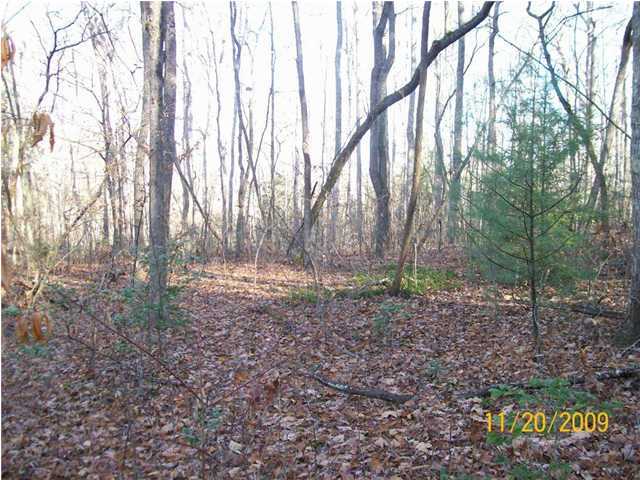 0 Thomas Cemetery Road Pikeville, TN 37367 - Photo 9 of 15 Additional Photo