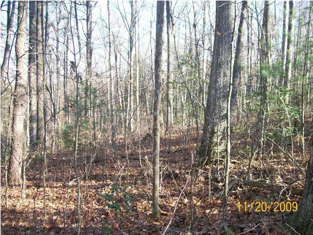 0 Thomas Cemetery Road Pikeville, TN 37367 - Photo 10 of 15 Additional Photo