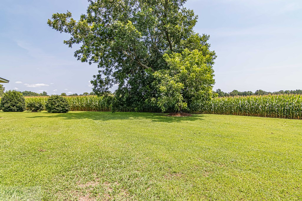 761 Crows Foot Road Mount Olive, NC 28365 - Photo 30 of 36