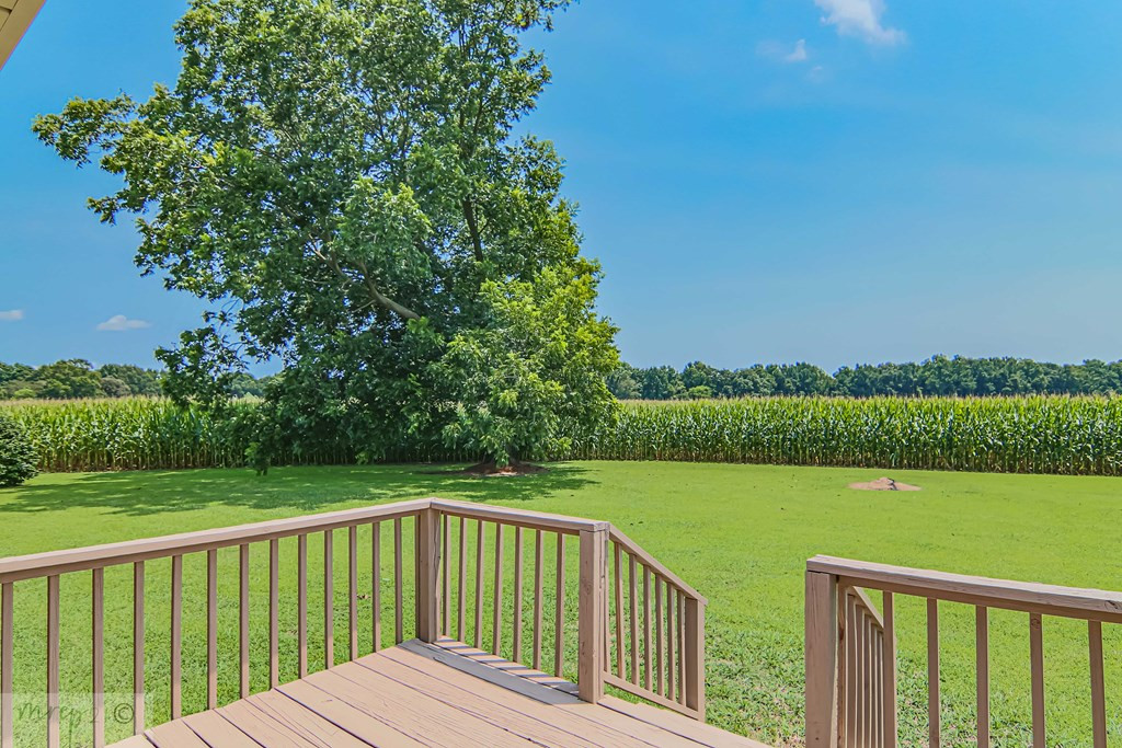 761 Crows Foot Road Mount Olive, NC 28365 - Photo 31 of 36