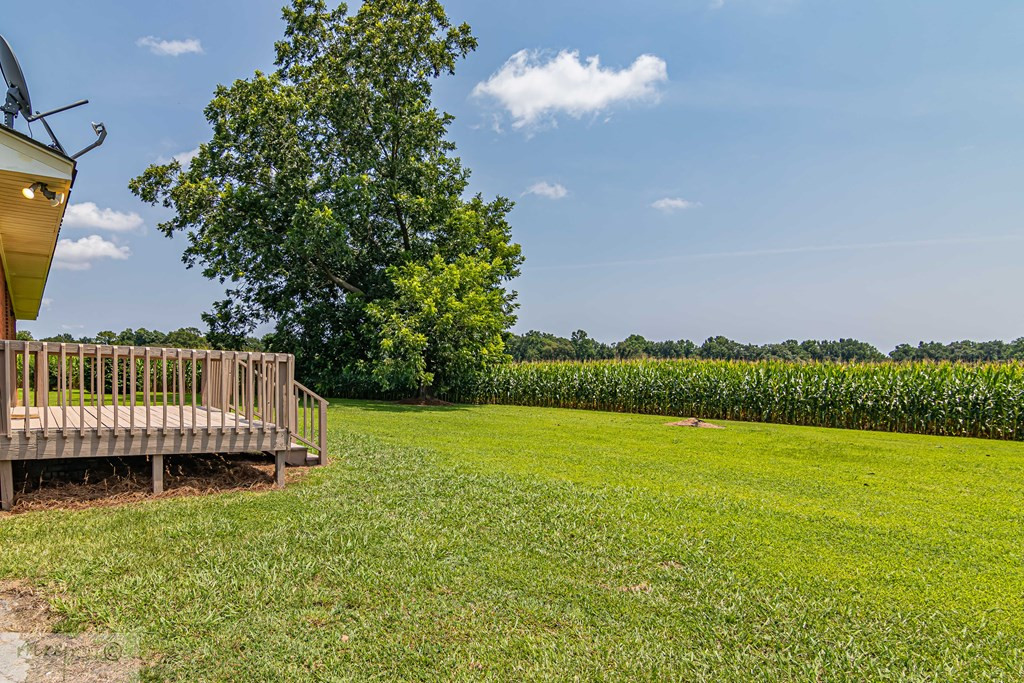761 Crows Foot Road Mount Olive, NC 28365 - Photo 4 of 36