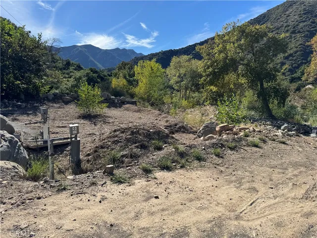 a view of a large mountain with lots of trees