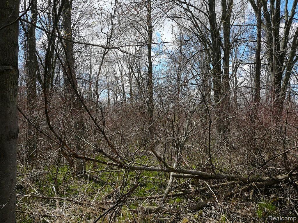 0 Brimley Road West Webberville, MI 48892 - Photo 25 of 36 2015-04-26 12.12