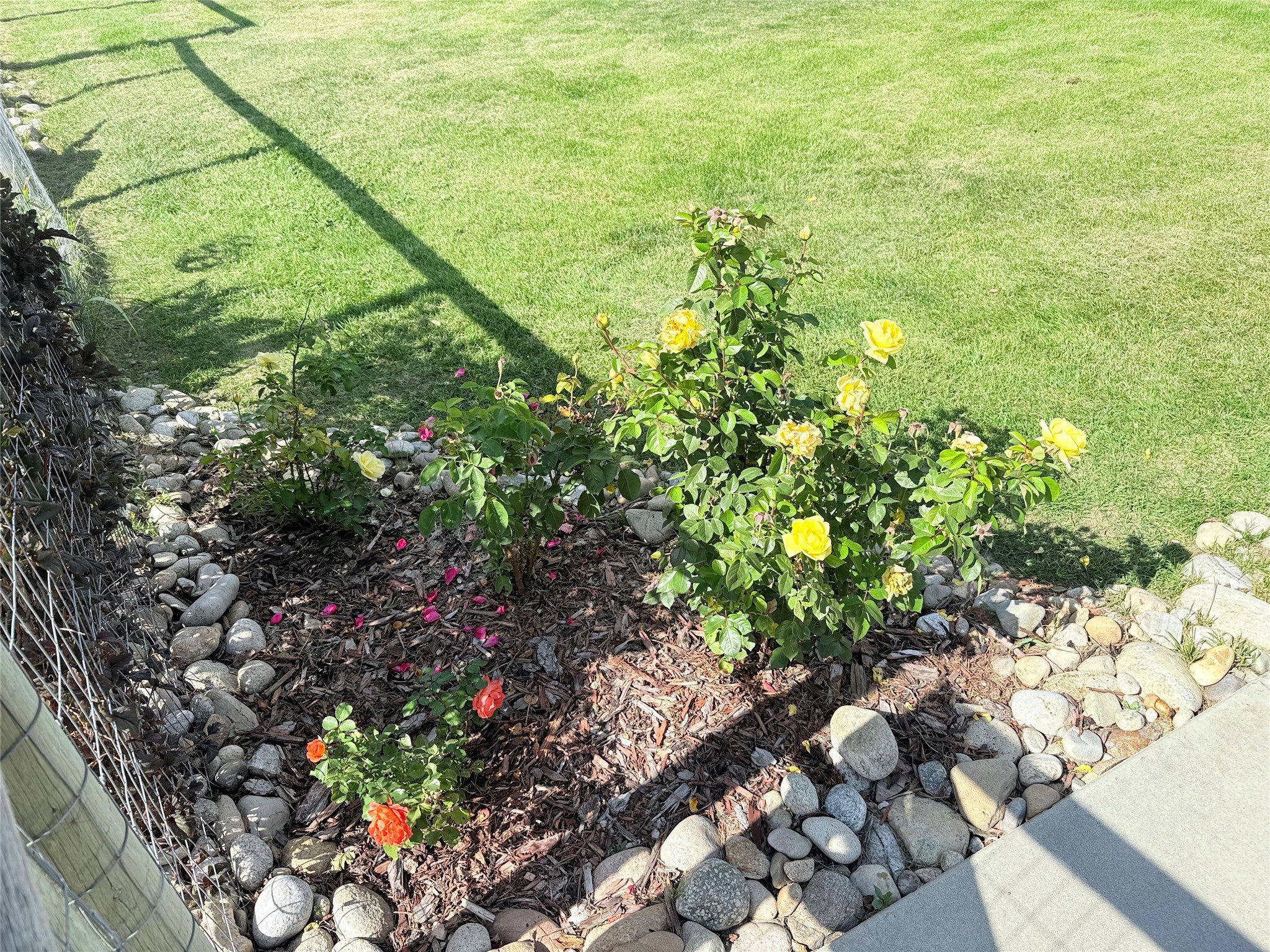 44 Bell Lane Hamilton, MT 59840 - Photo 38 of 51 Gallery Image 38