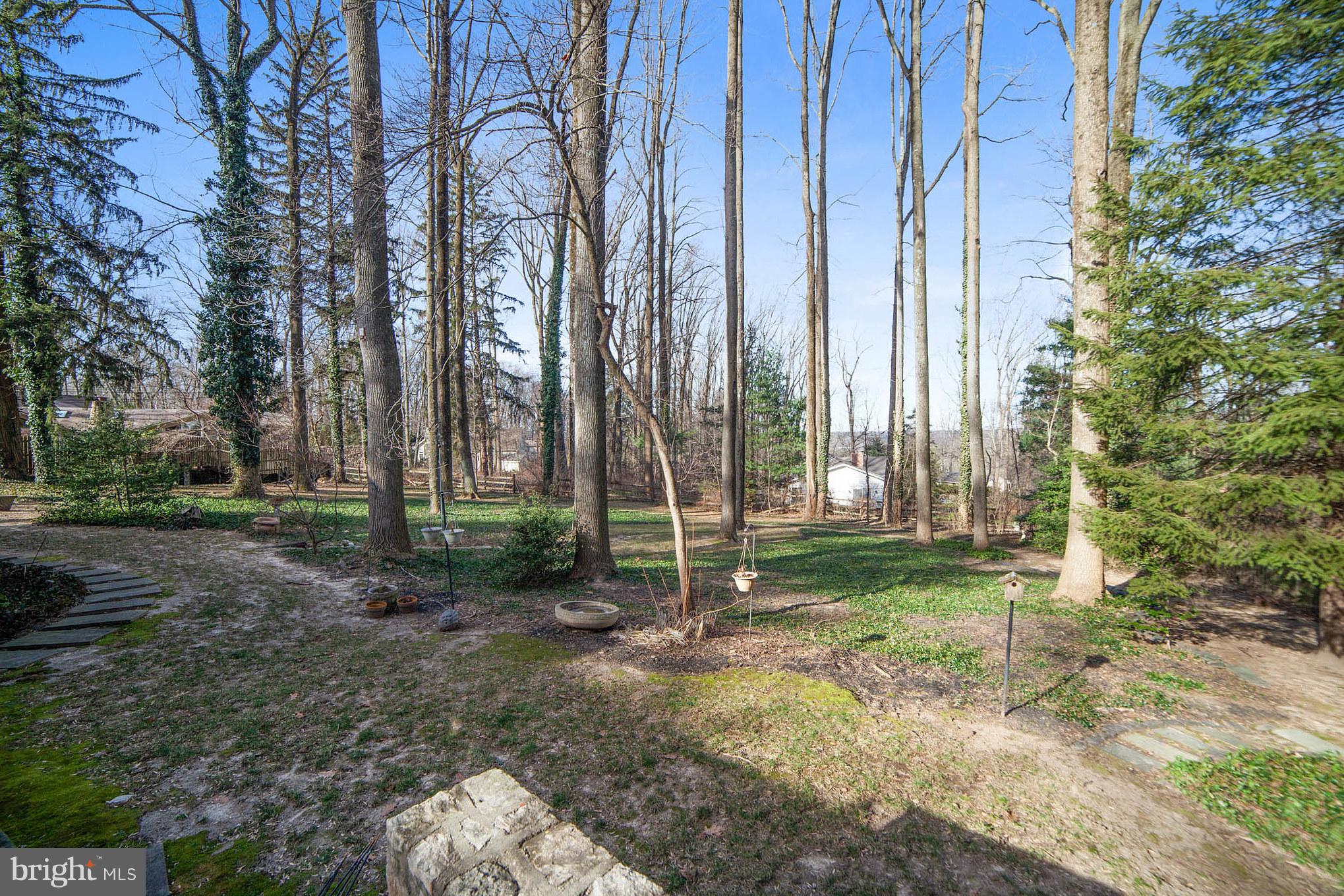 480 Dreshertown Road Fort Washington, PA 19034 - Photo 23 of 24 Yard