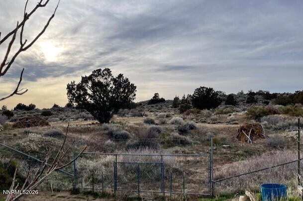 215 Danforth Drive Sun Valley, NV 89433 - Photo 18 of 18 view to rear of lot