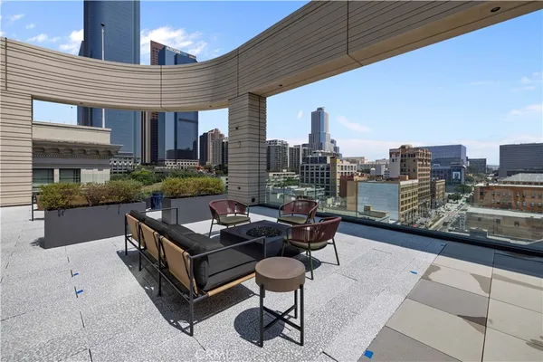 a roof deck with couches and a potted plant