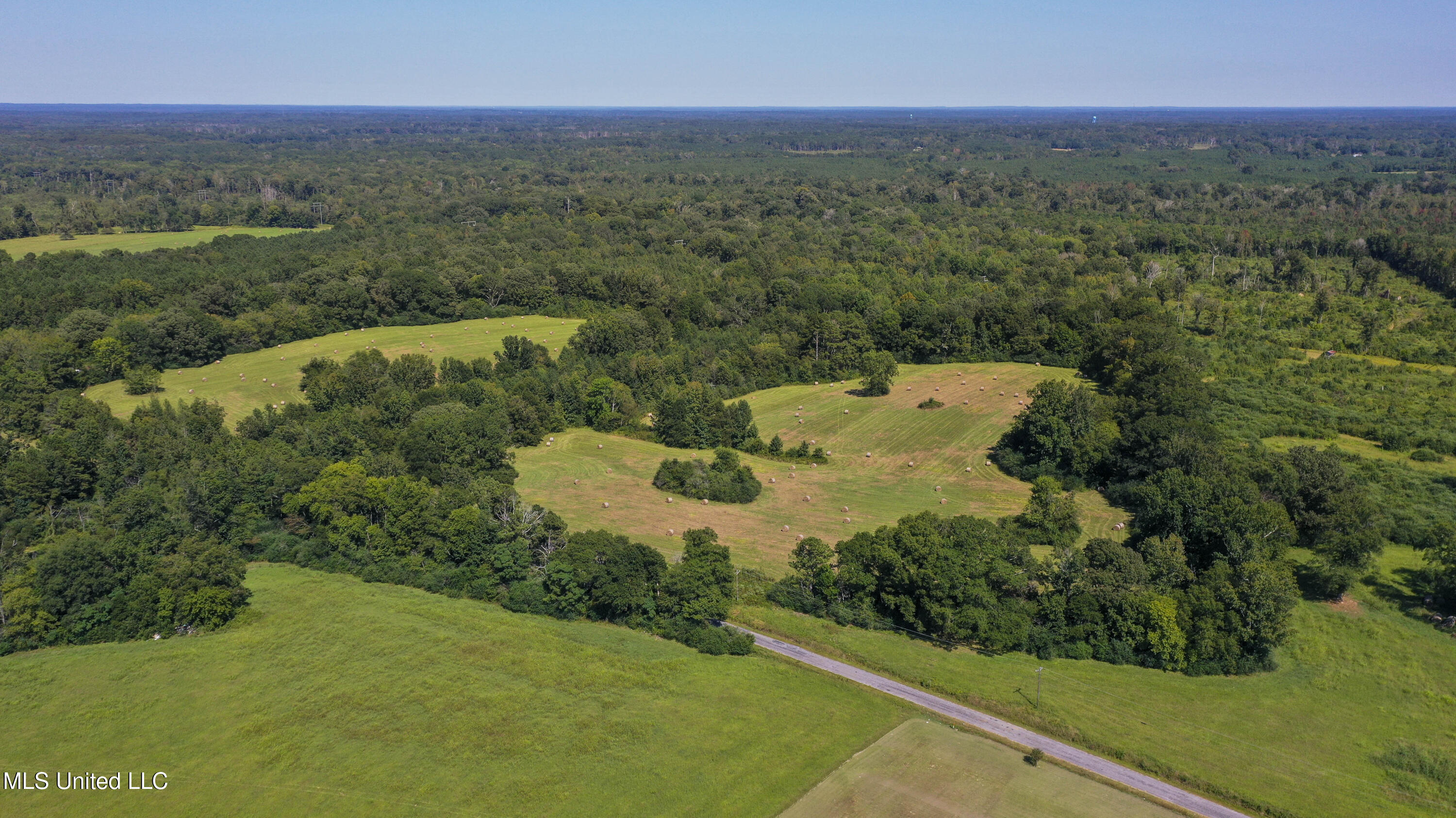 Clifton Road Forest, MS 39074 - Photo 7 of 25 Clifton Rd-60 Acres-4