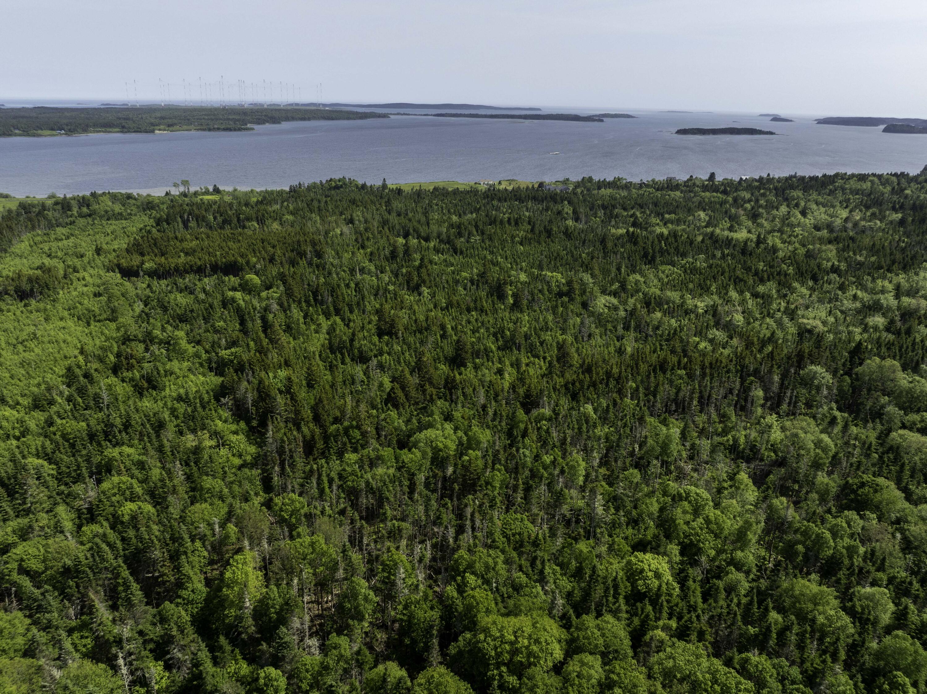 1 Map Road Whiting, ME 04691 - Photo 13 of 16 Water View
