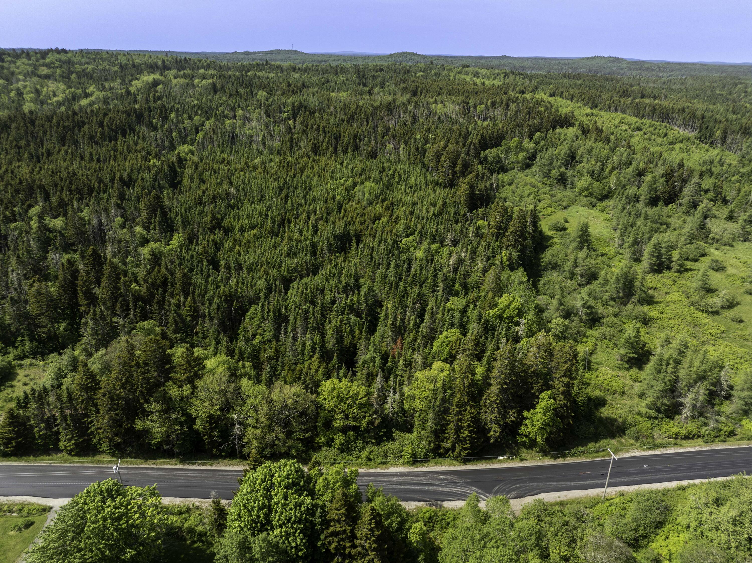 1 Map Road Whiting, ME 04691 - Photo 6 of 16 Cutler Rd. Lot in Whiting (1 of 25)