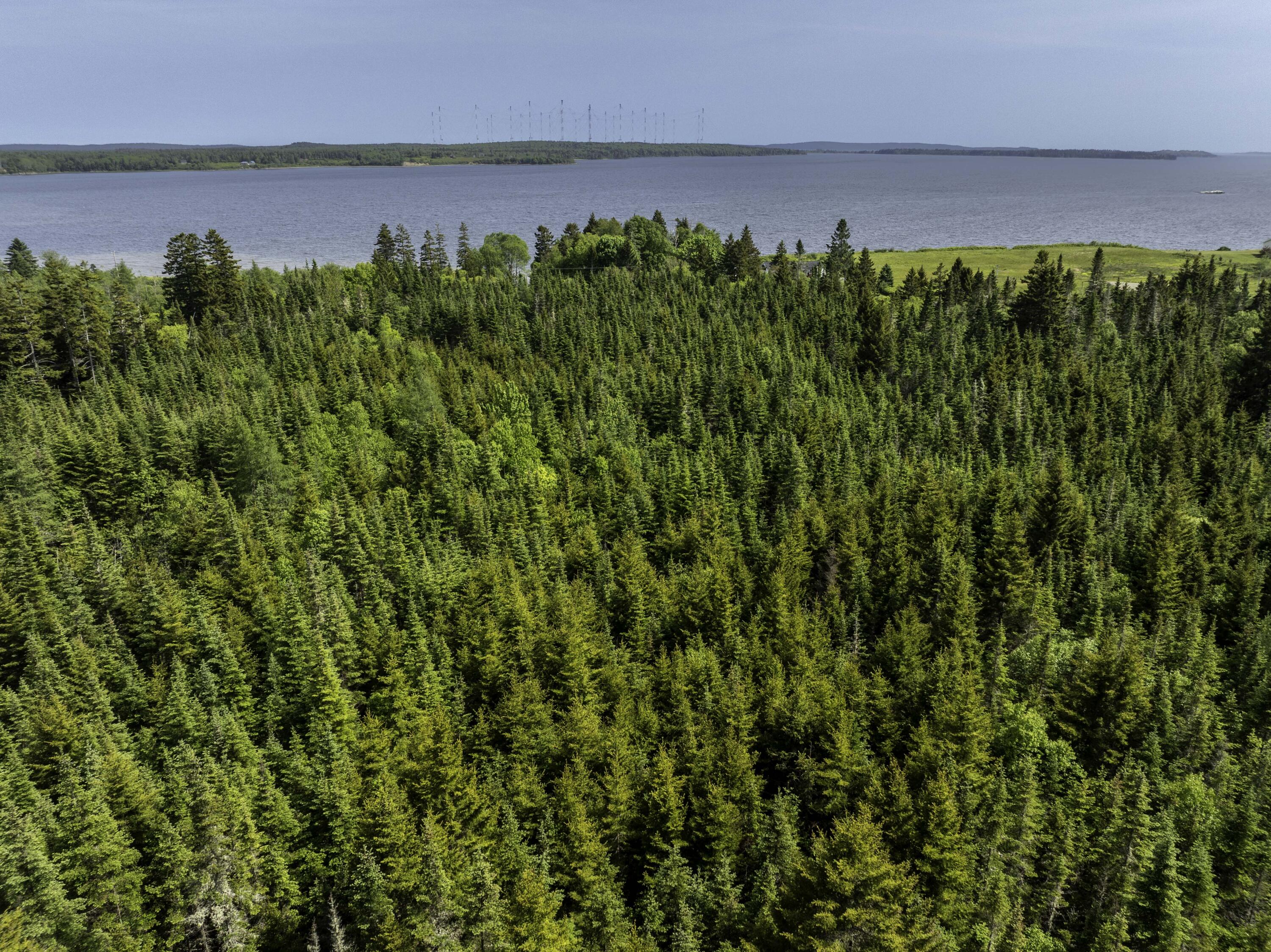 1 Map Road Whiting, ME 04691 - Photo 7 of 16 Lower from Trees
