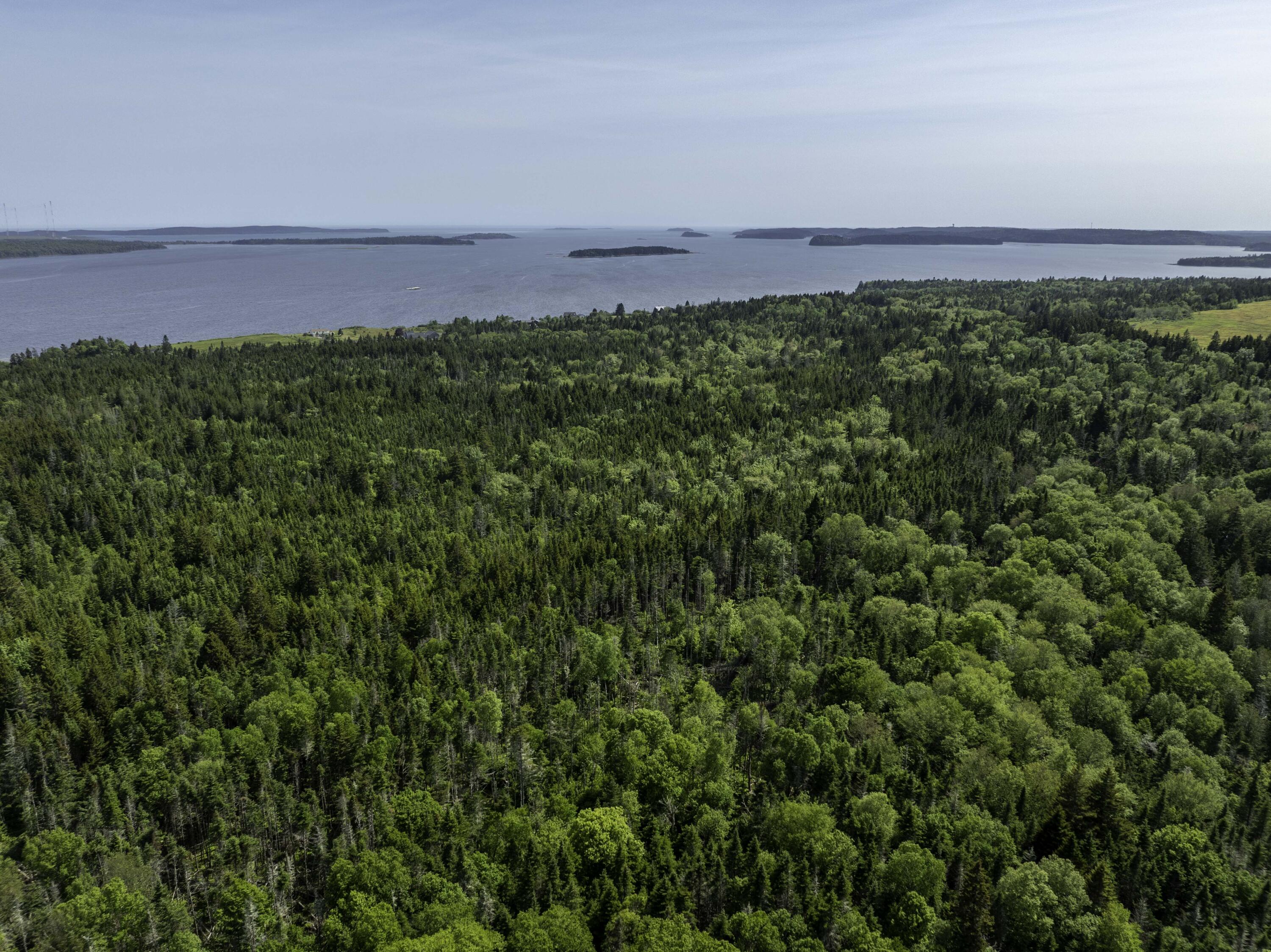 1 Map Road Whiting, ME 04691 - Photo 8 of 16 Open Water Views