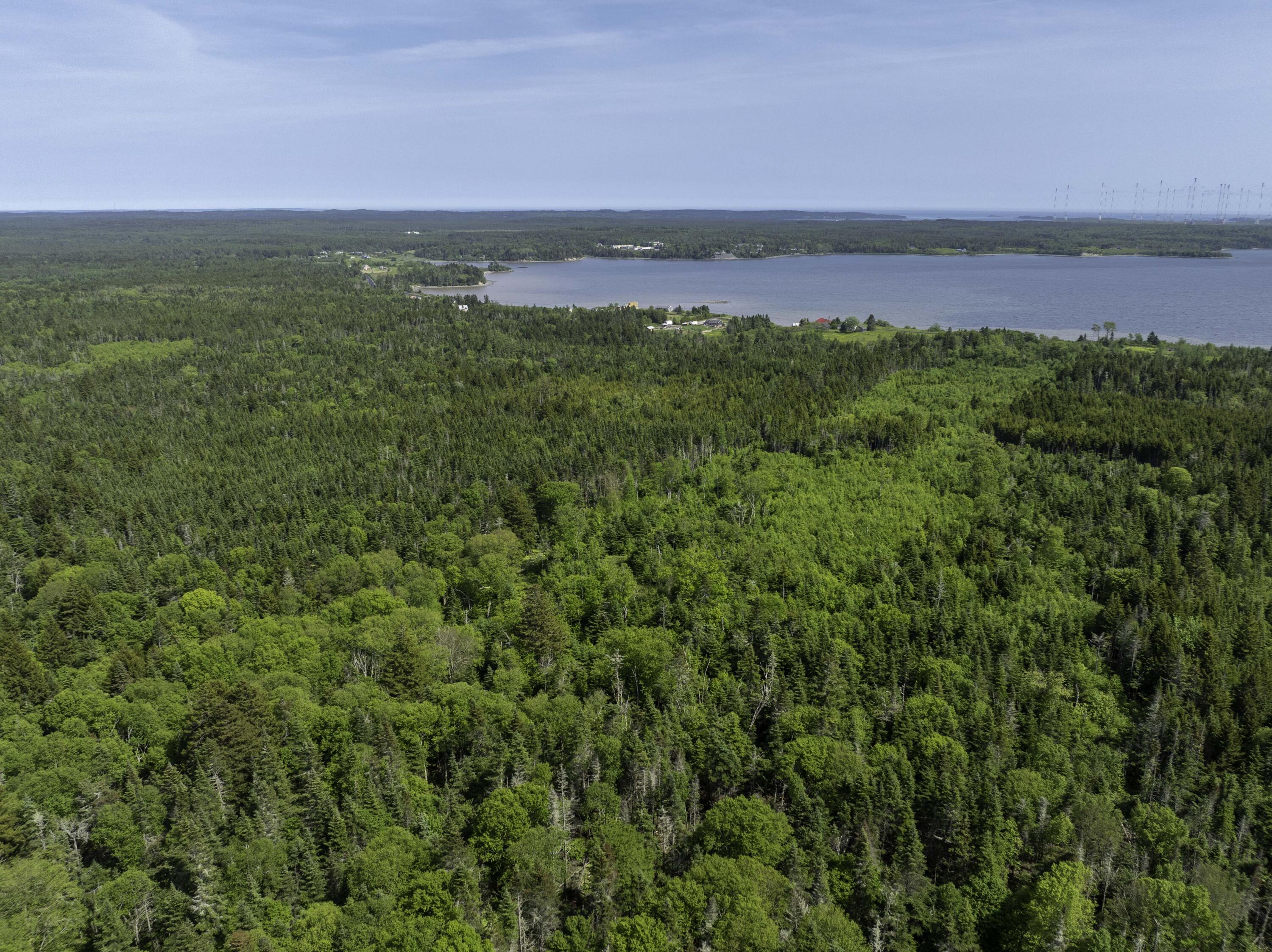 1 Map Road Whiting, ME 04691 - Photo 9 of 16 More Water views