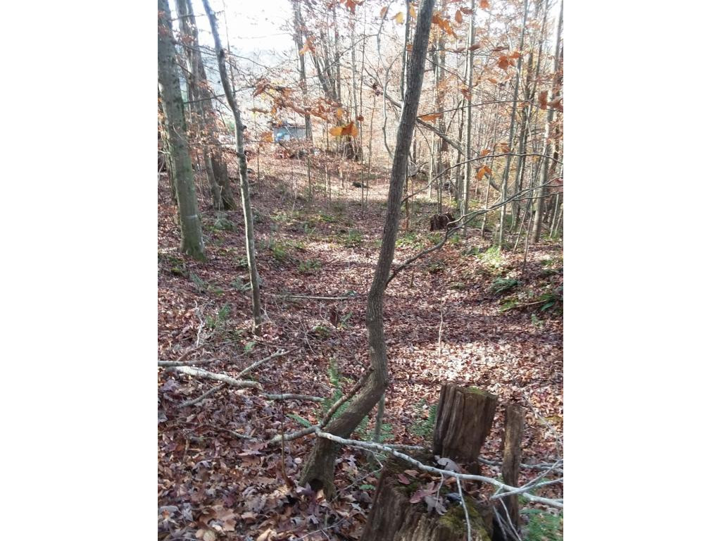 Tbd Whitaker Road Tazewell, TN 37879 - Photo 2 of 4 Photo 2