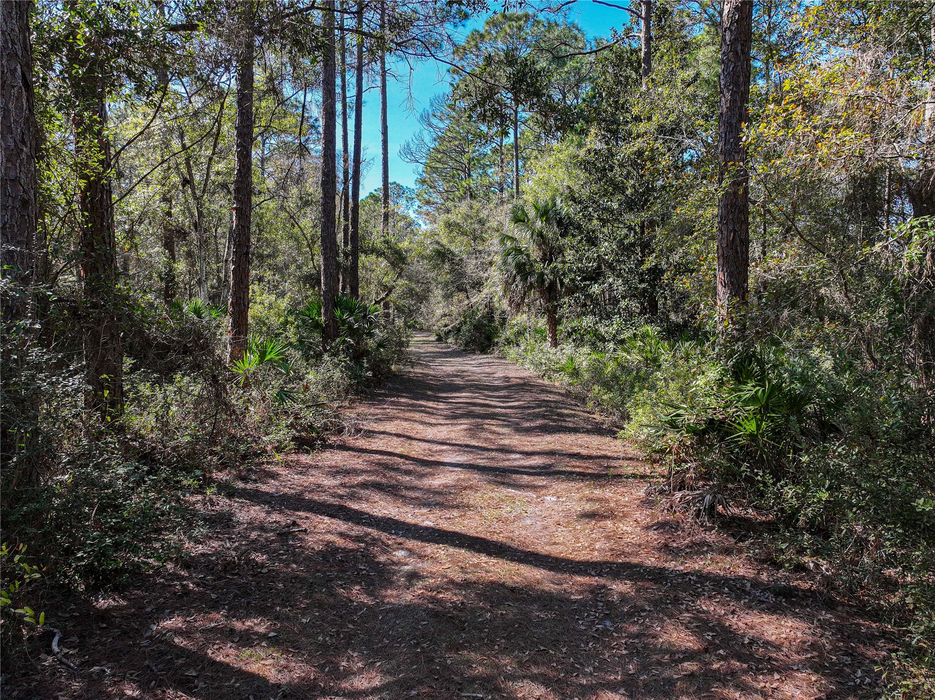 96249 Lang Road Yulee, FL 32097 - Photo 17 of 18