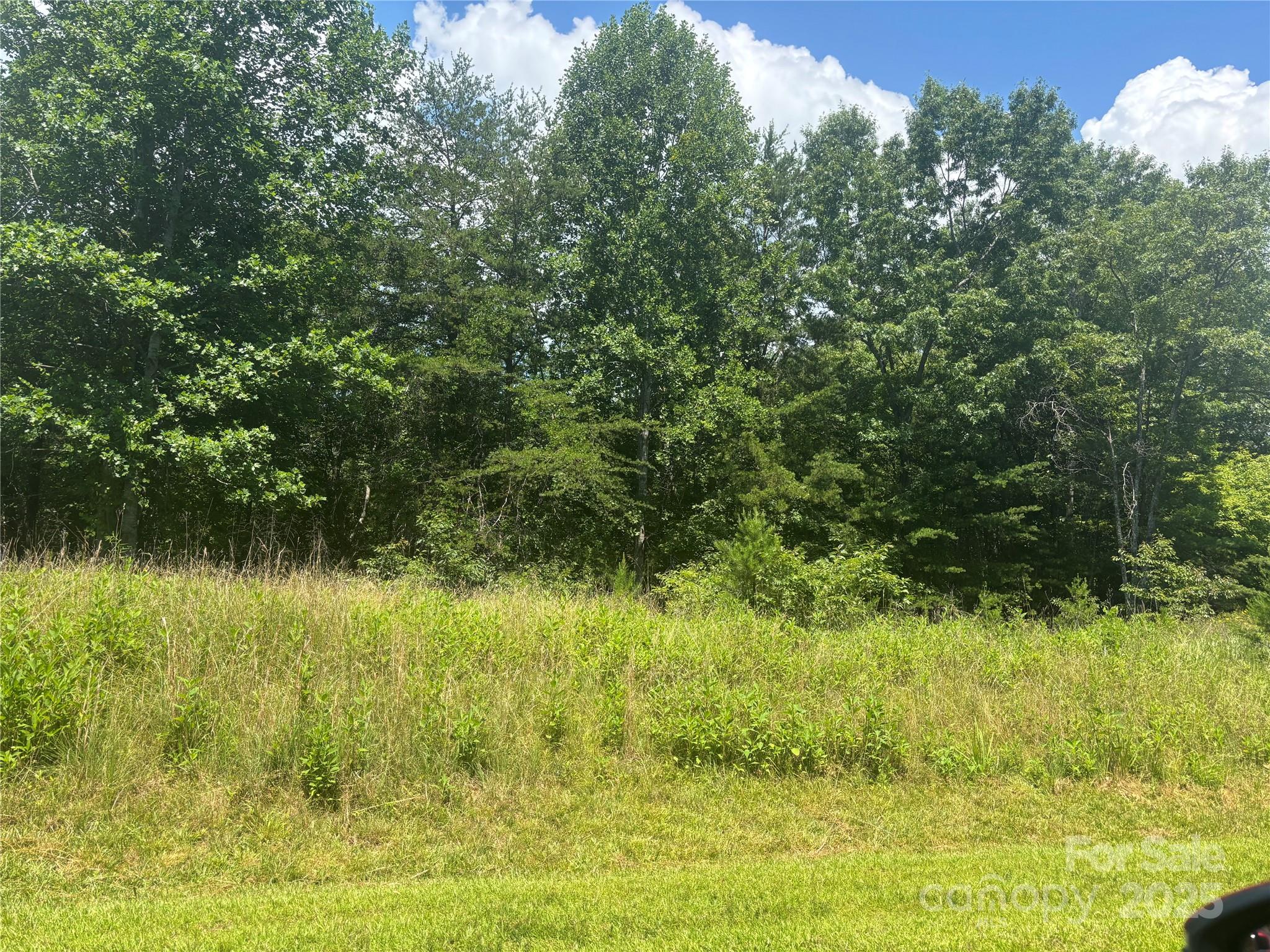 28 Fallen Tree Lane Mill Spring, NC 28756 - Photo 3 of 11