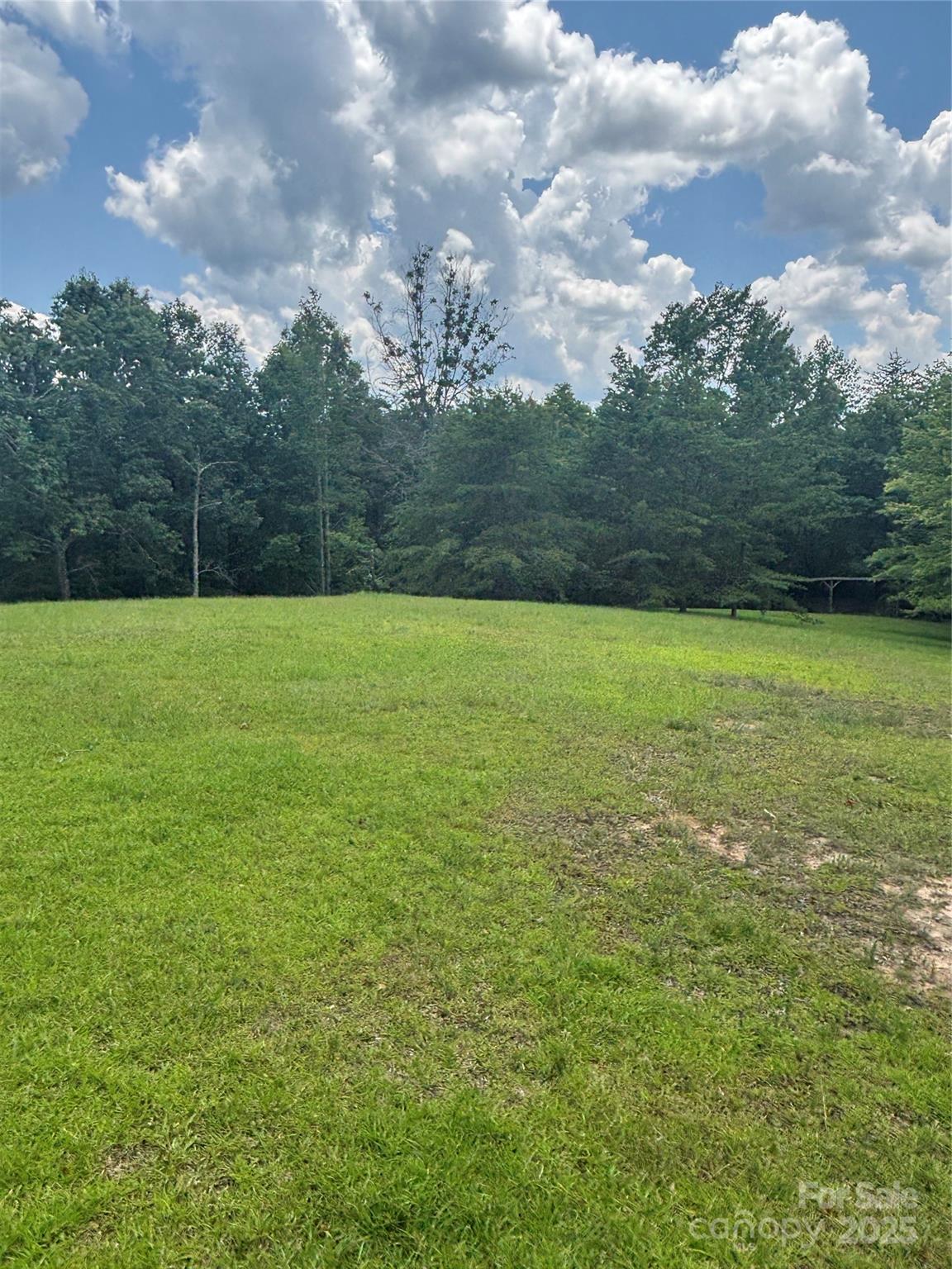 28 Fallen Tree Lane Mill Spring, NC 28756 - Photo 10 of 11